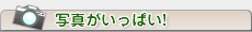 写真がいっぱい